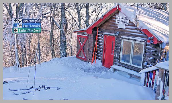 Cabin Lovin' In Ski Country